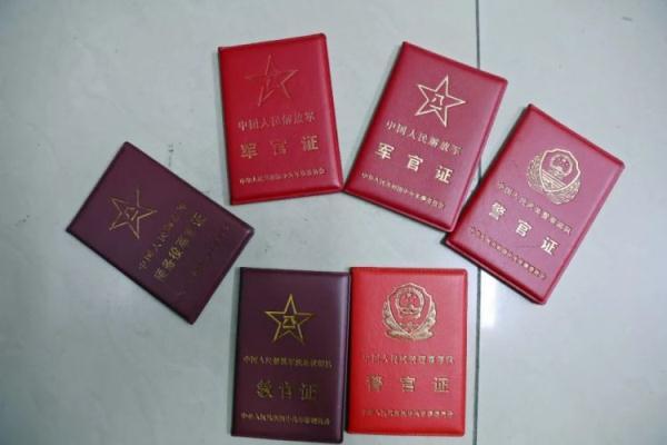 从发娱乐